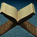 @fenmen6363