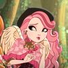 miss.invys