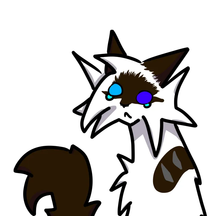 anel5catt