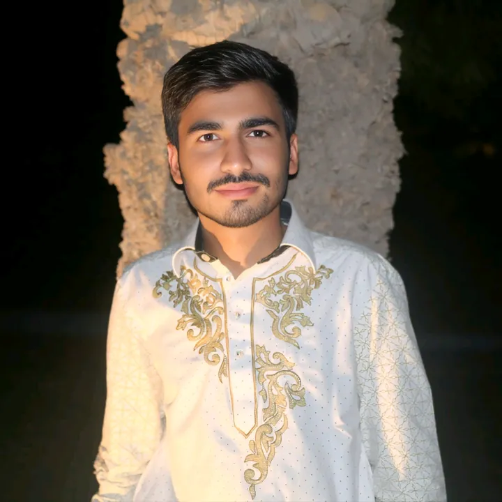 @syedhabibulhasan0