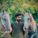 @ray.abdulhai