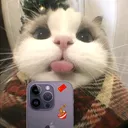 @pengyou_ni_hao
