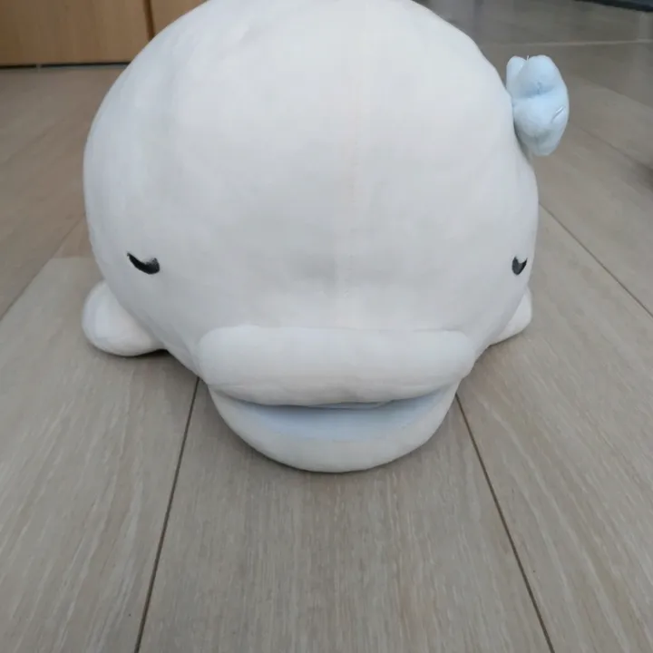 @naoki4377