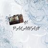 vpalawan_sy20252026