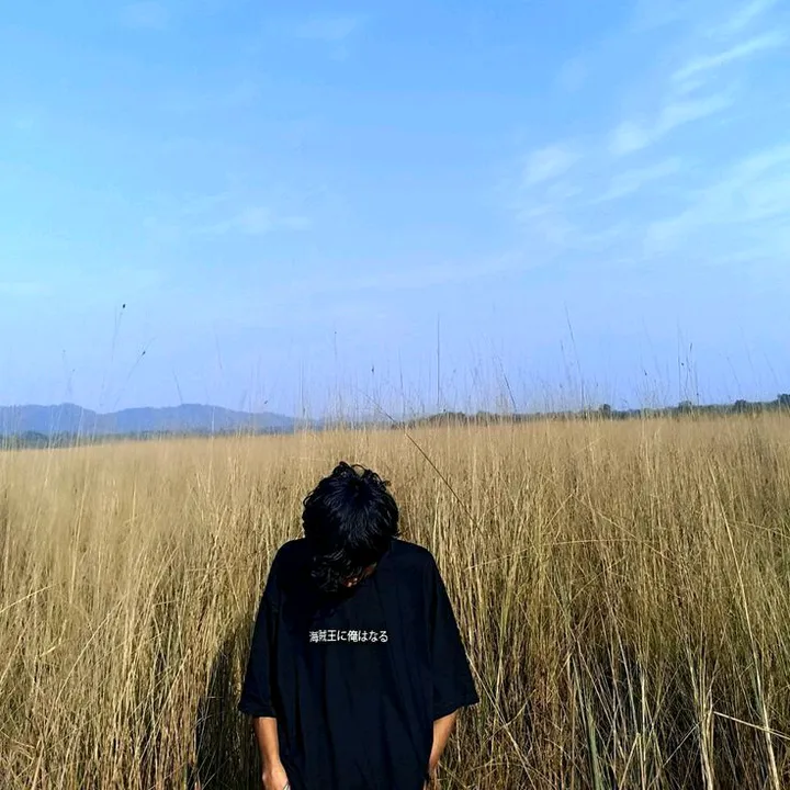 pyaegyi12.5