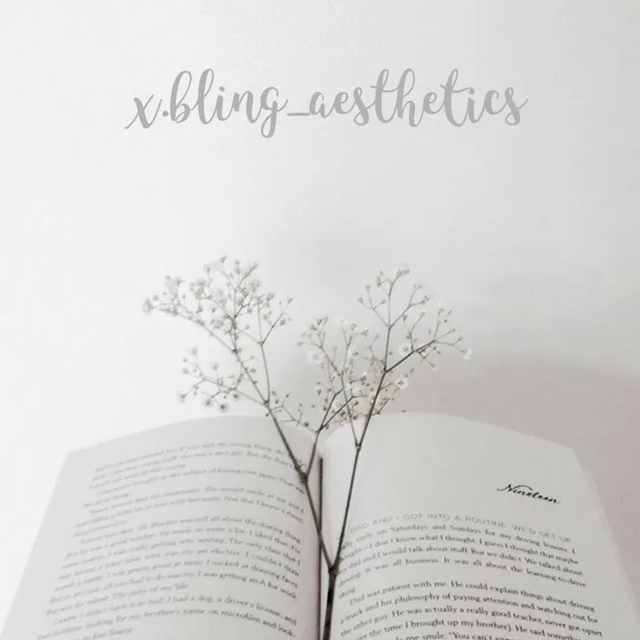 x.bling_aesthetics