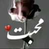 mushahidsherani_8834