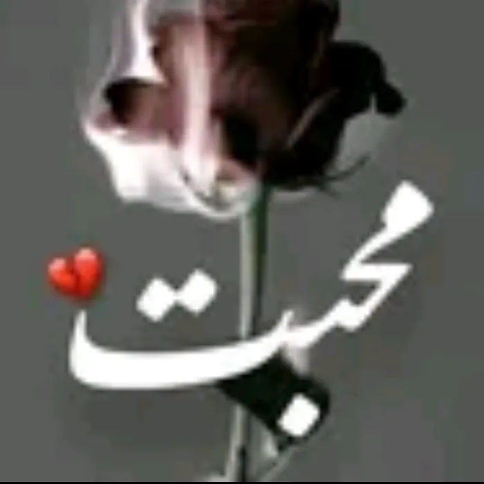 @mushahidsherani_8834