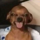 @nicandroily