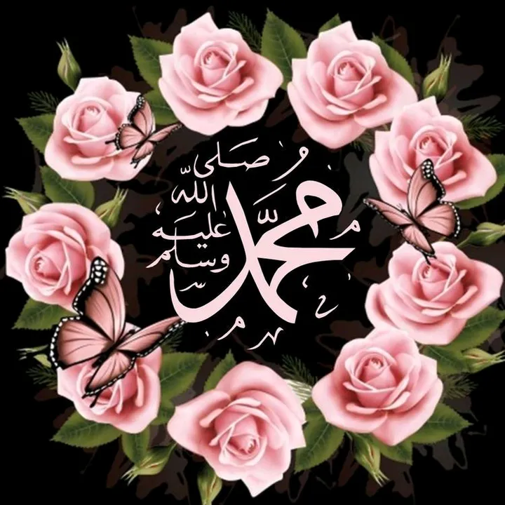 @ahli.selawat