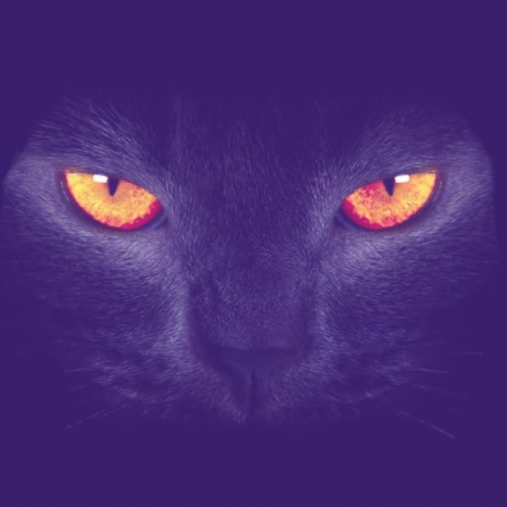 🪻🦋 - ajkula