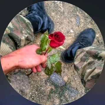 @nihad_280_