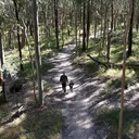 @cooperrisselnature