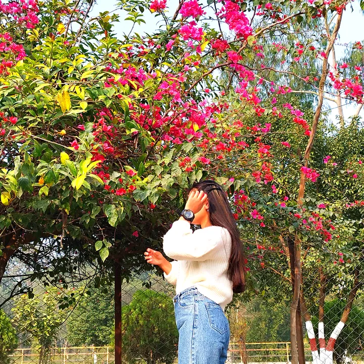 @nishuraii26