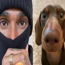 @mrsvvpn