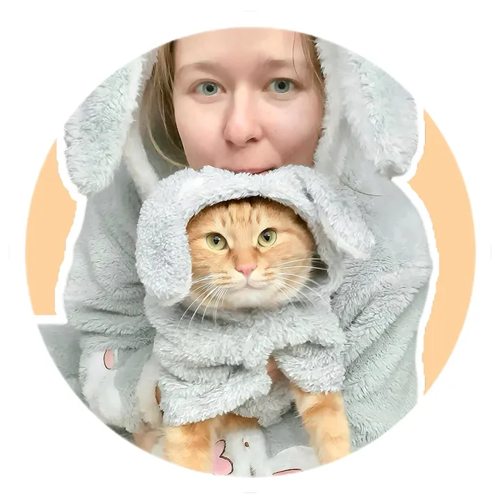 mystraycheese