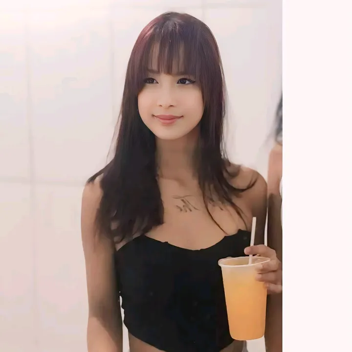 @33_japinha1