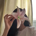 @al8oll