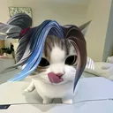 @zziobrien