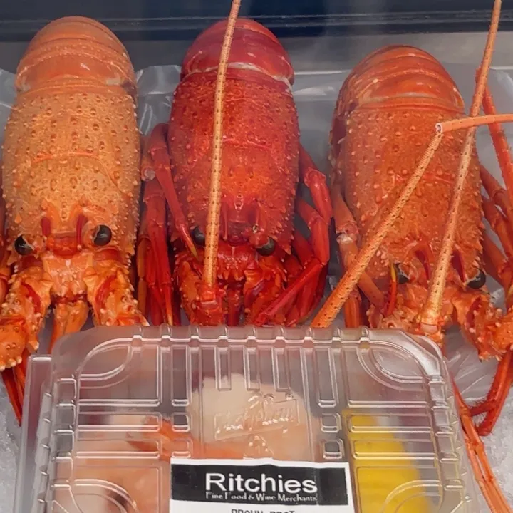 @lilamillieclara