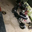 @tientran6526