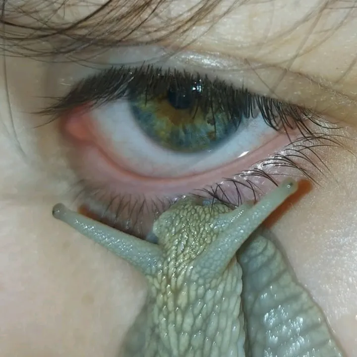 @yasya_snail