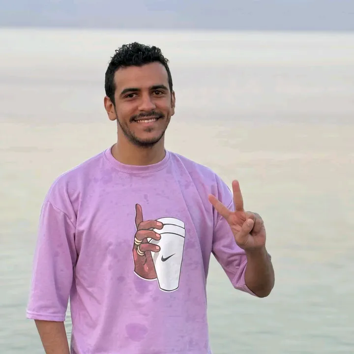 @mahmoud_elhussieny