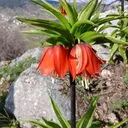 @mehmetaligr02