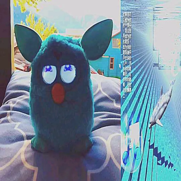 blueberryfurby