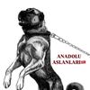 aslanlar.anadolu2904
