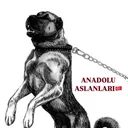 @aslanlar.anadolu2904