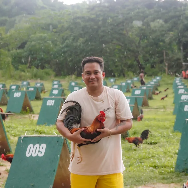 ninocoloursgamefarm