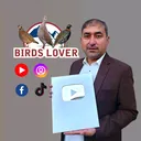 @birdslover255