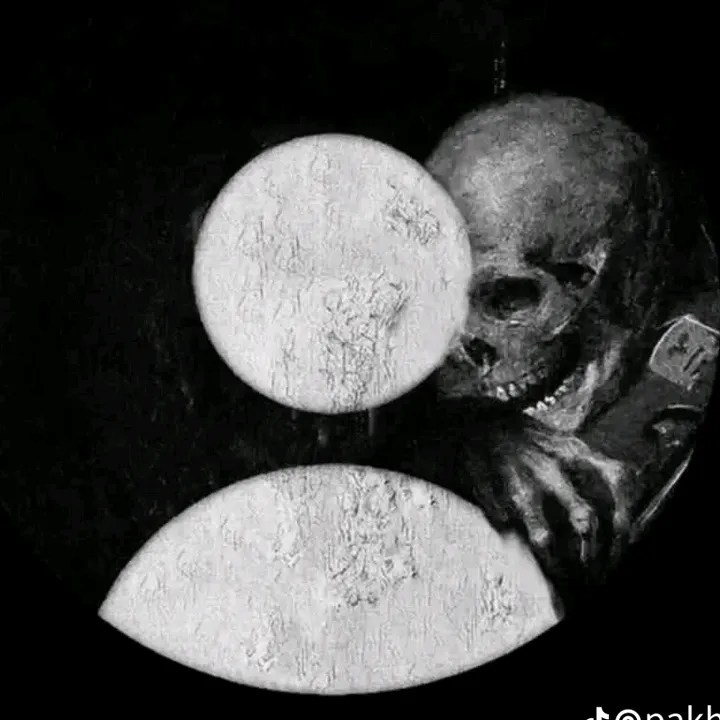 @rider.junayed_2.0