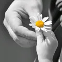 @h_shafaq_