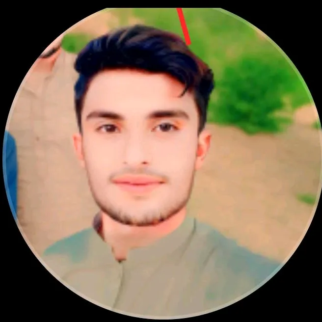 @zafrri.saggu
