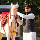 @rohail848