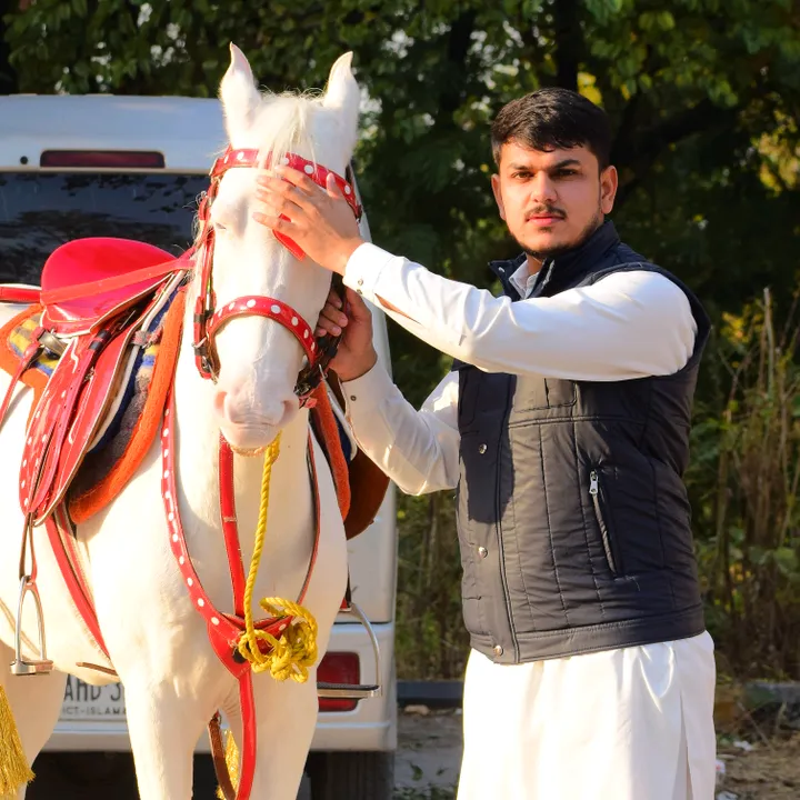 rohail848
