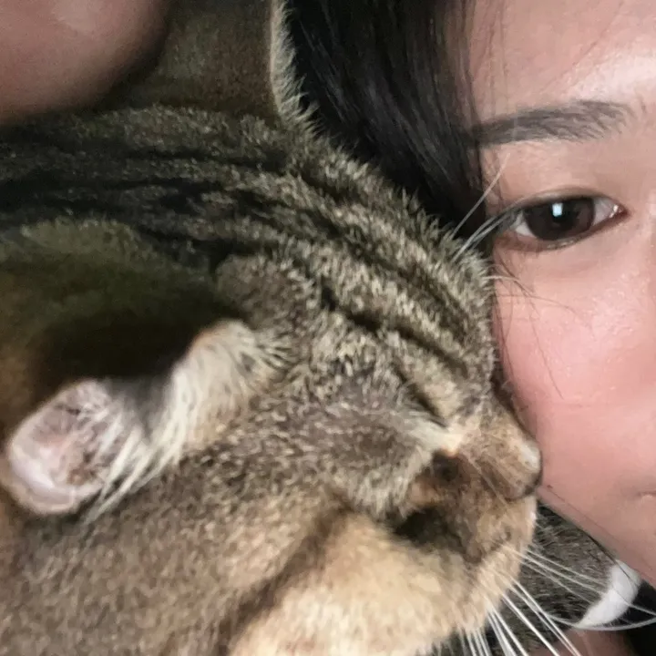 aiminarii