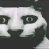 hydi1qq