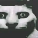 @hydi1qq