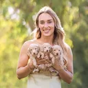 @dachshund_dynasty