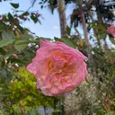 @knkywhare