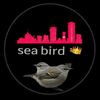 seabird38