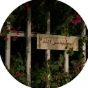 @suonr_31
