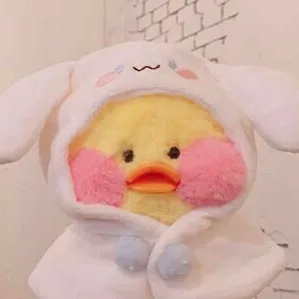 @duck__mikkaa