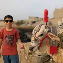 @rohanrathore288