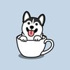 teacup.puppies234