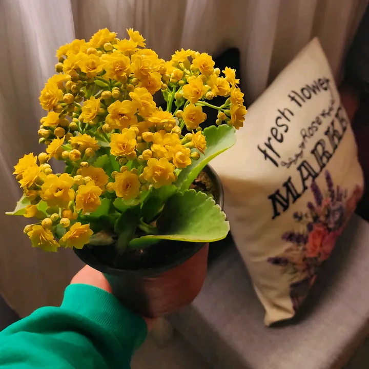 @alzahraaa90
