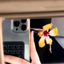 @xav_.20